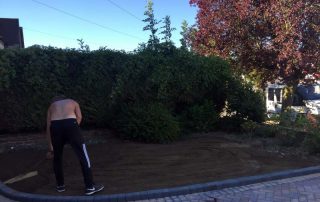 Landscaping